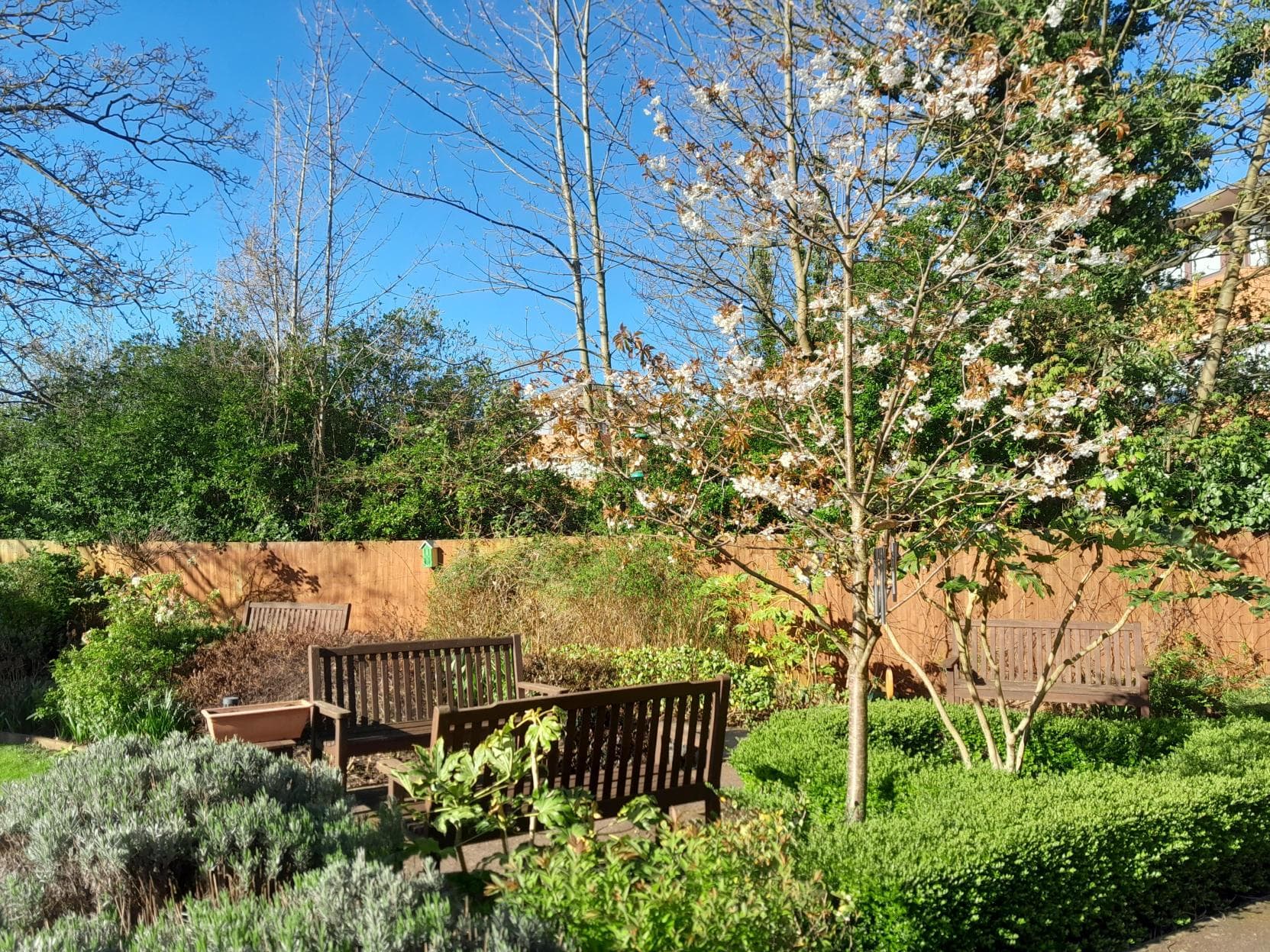 Garden of Cambridge Manor care home in Cambridge, Cambridgeshire