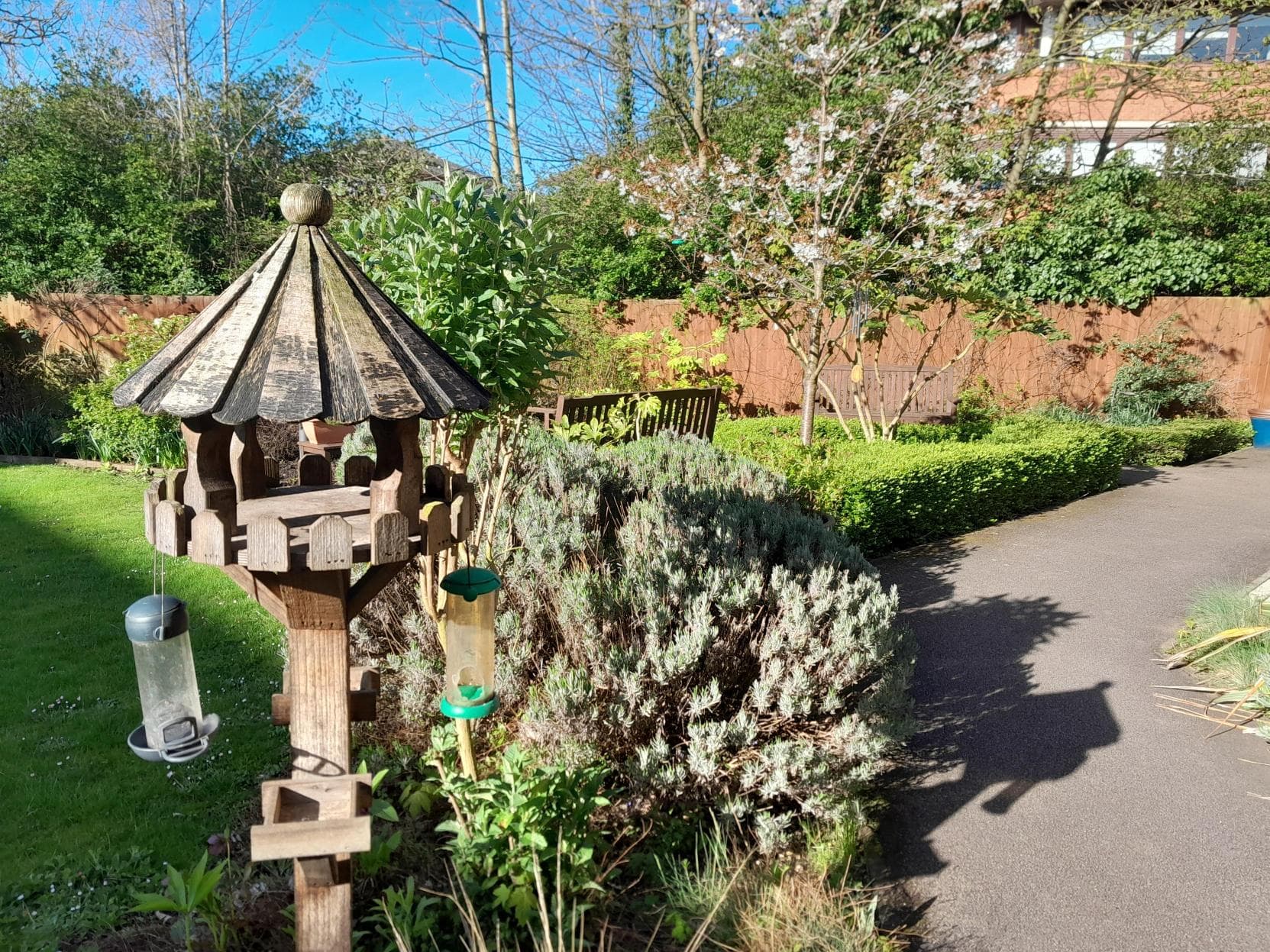 Garden of Cambridge Manor care home in Cambridge, Cambridgeshire