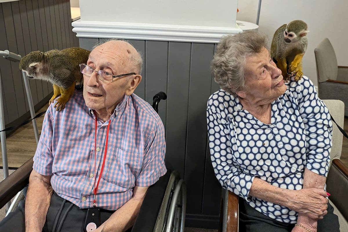 Forest Care - Rowan Lodge care home - 012