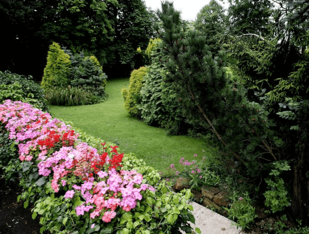 Regal Care - Moorlands care home - 005