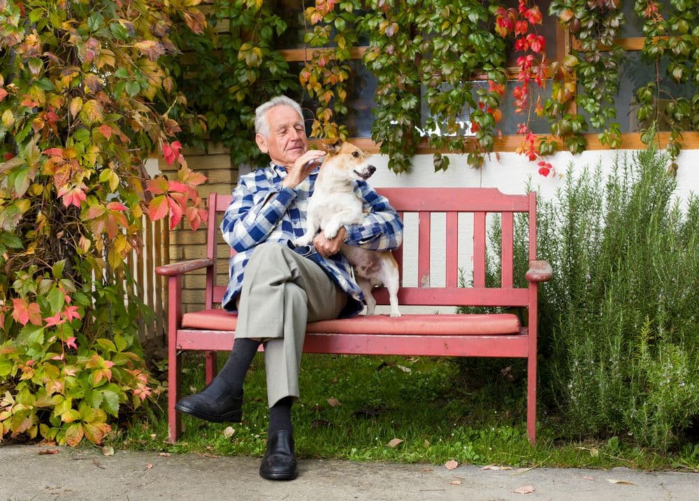 Older man playing with a dog