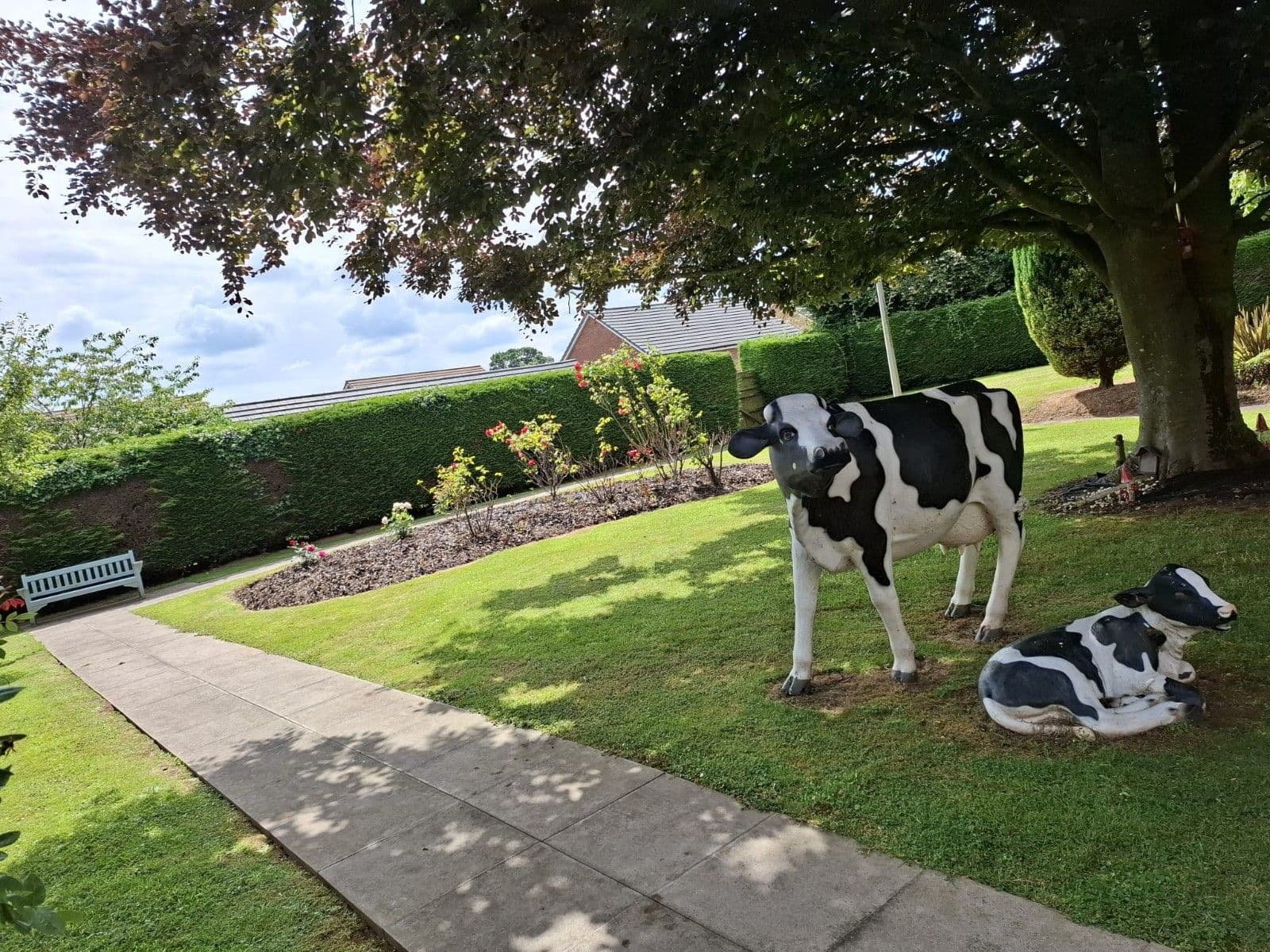 Shaw Healthcare - Orchard House care home 011