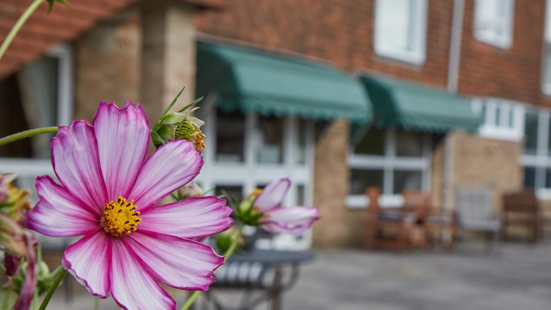 Garden at Ridgeway House Care Home in Swindon,Wiltshire