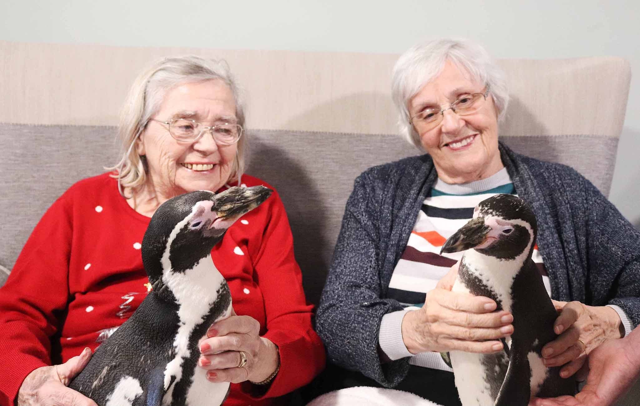 Forest Care - Rowan Lodge care home - 011