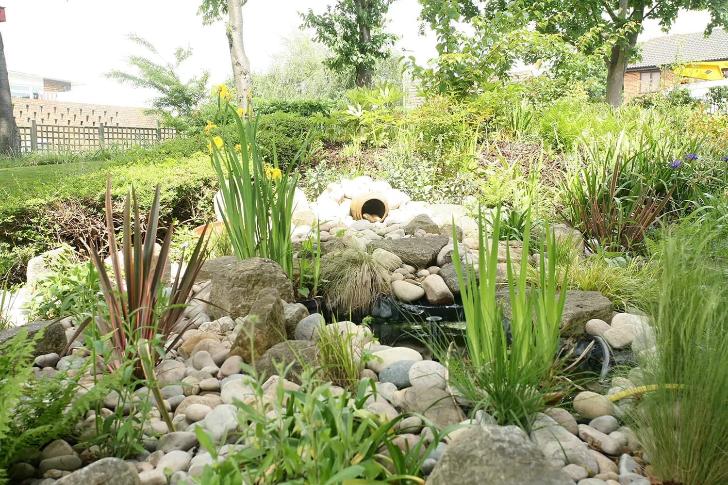 Garden of Queen Elizabeth Park in Guildford