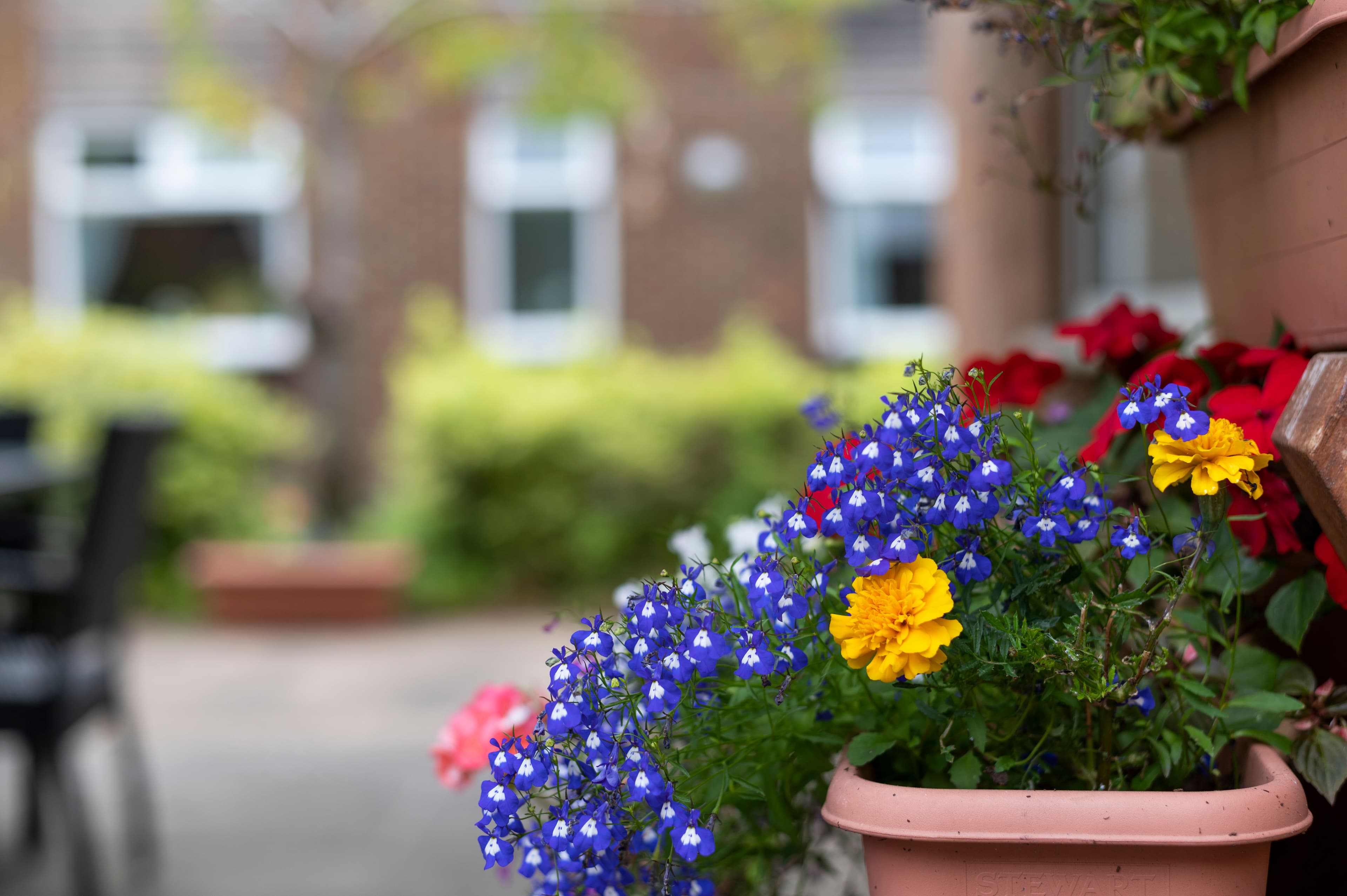 Gold Care Homes - Queensway House care home 009