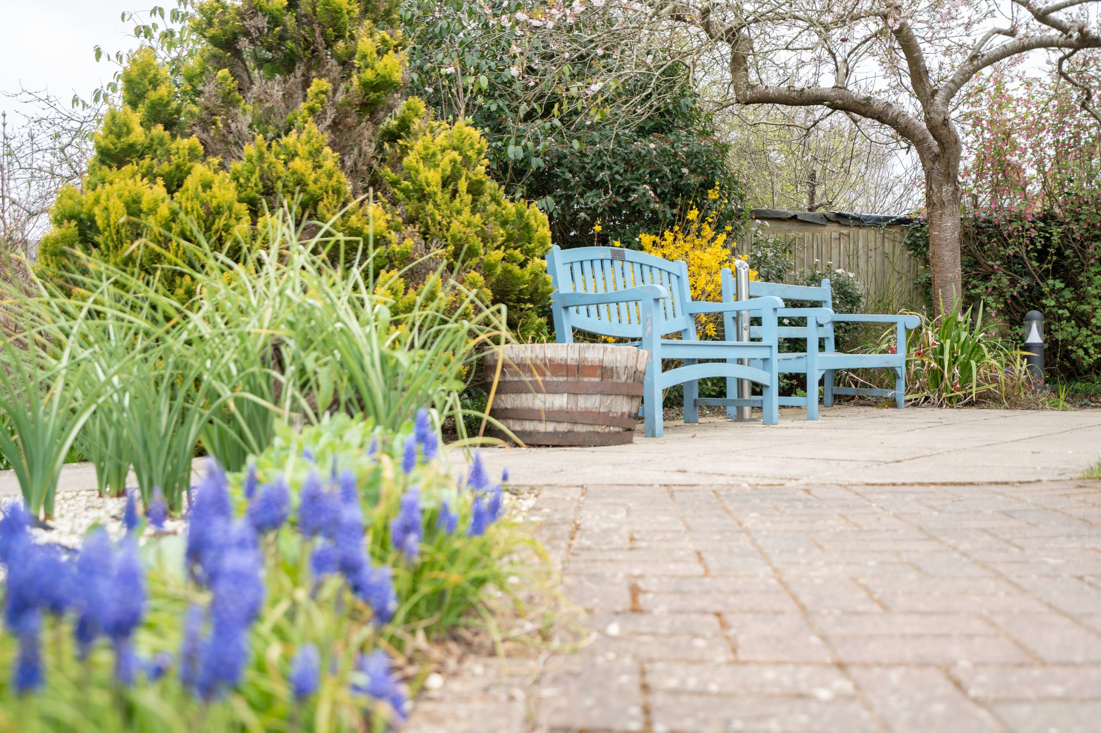Abbeyfield Wey Valley Society - Ridgway Court care home 3