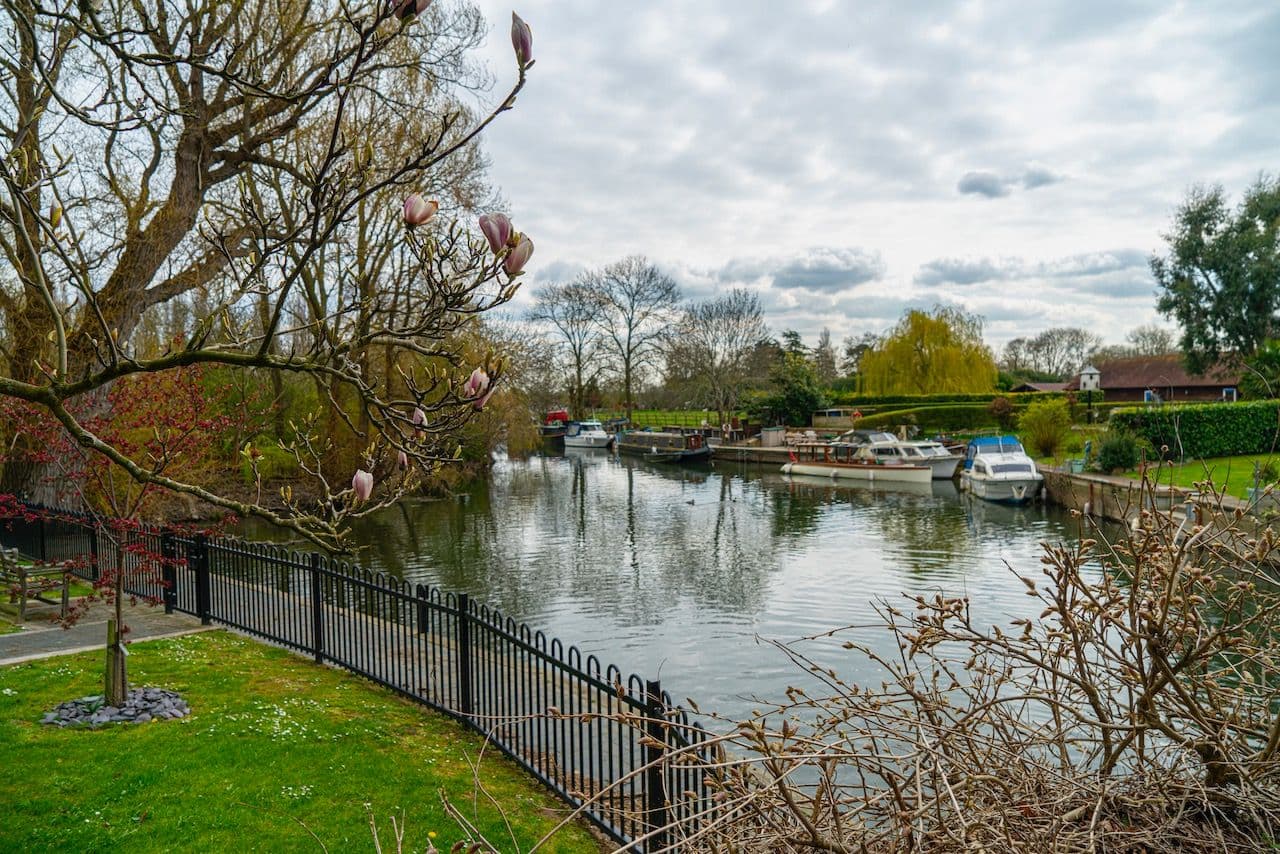 Abbey Chase Care Home in Chertsey 3