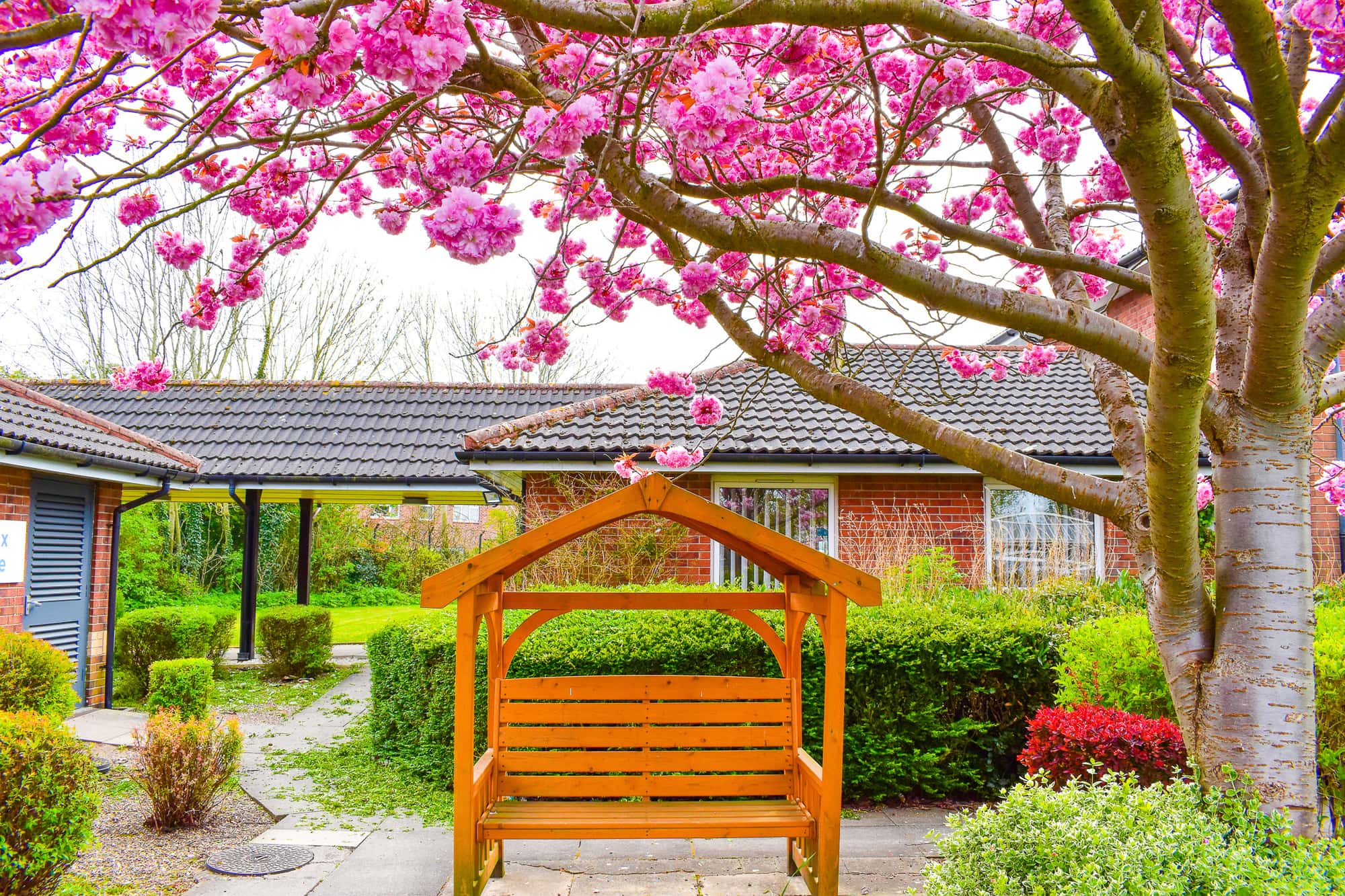 garden at Saltshouse Have Care Home, Hull 