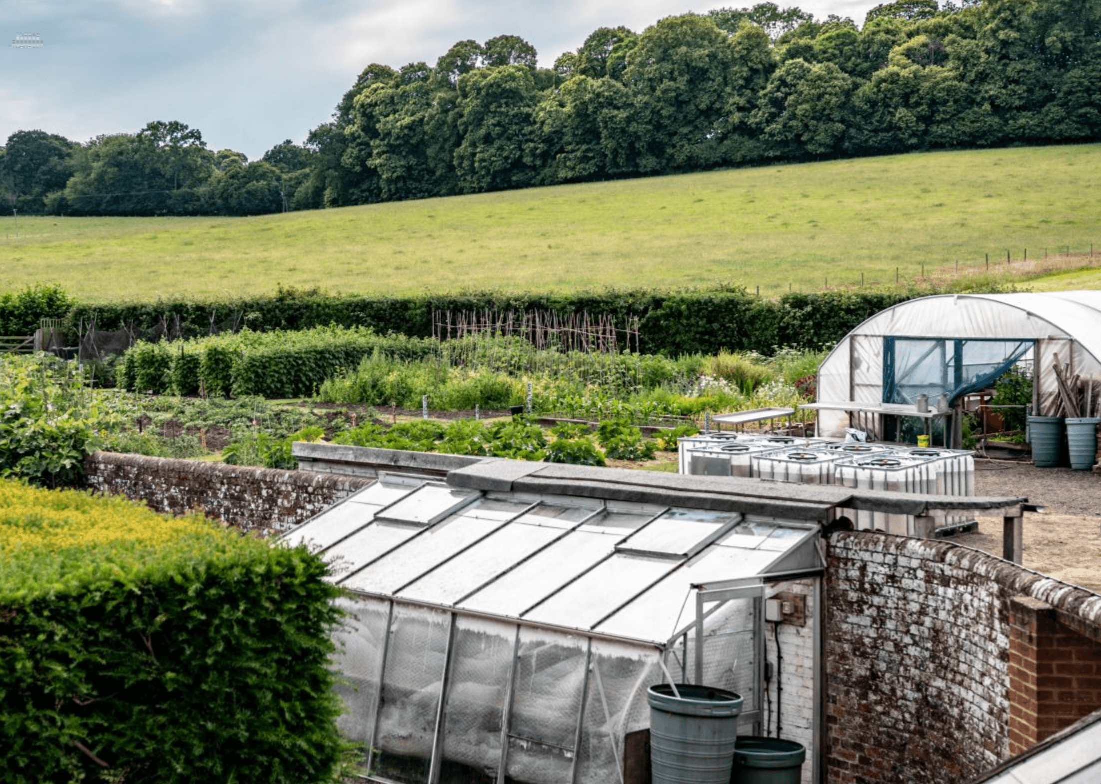 Garden of Birtley House care home in Guildford, Surrey