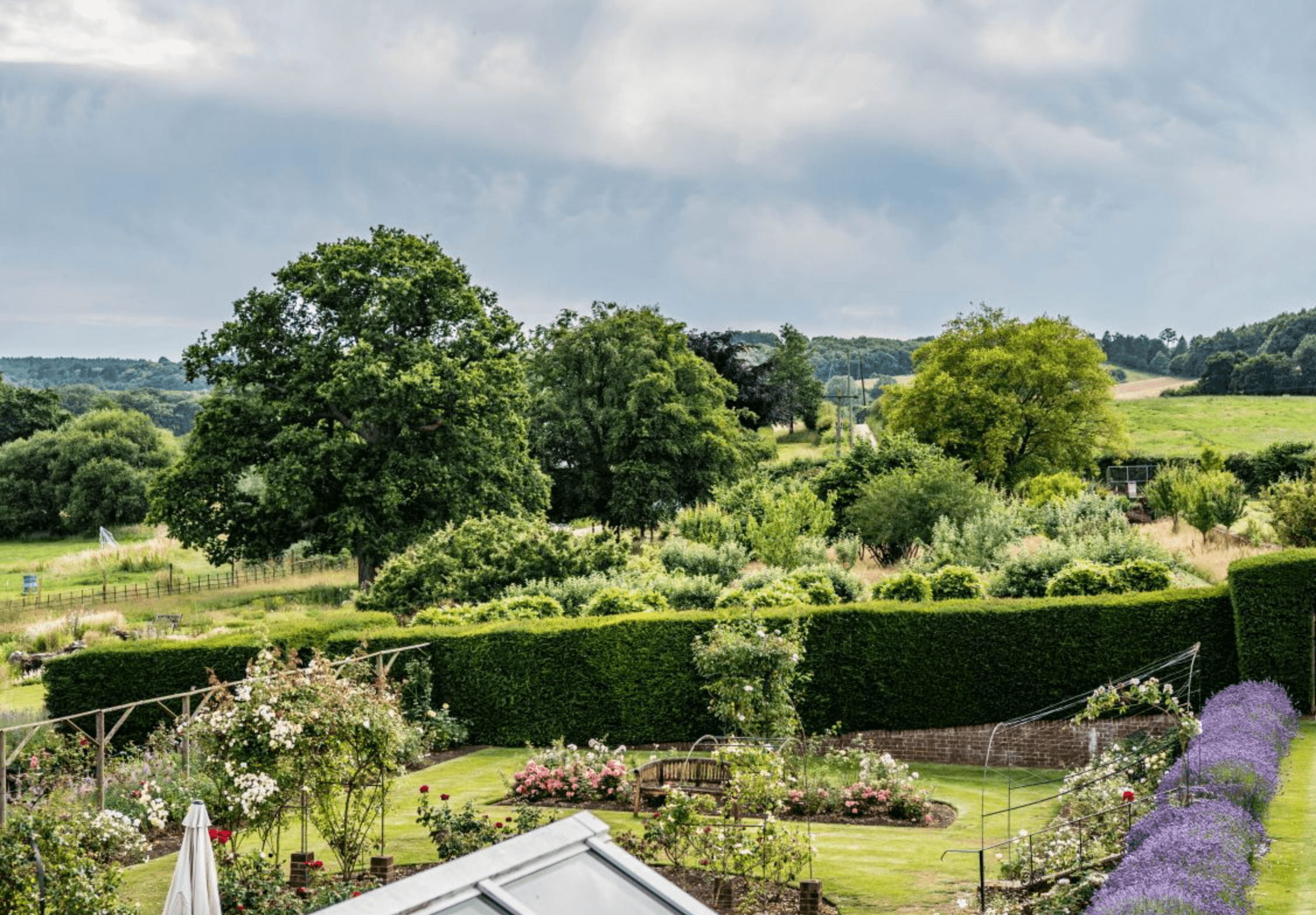 Garden of Birtley House care home in Guildford, Surrey