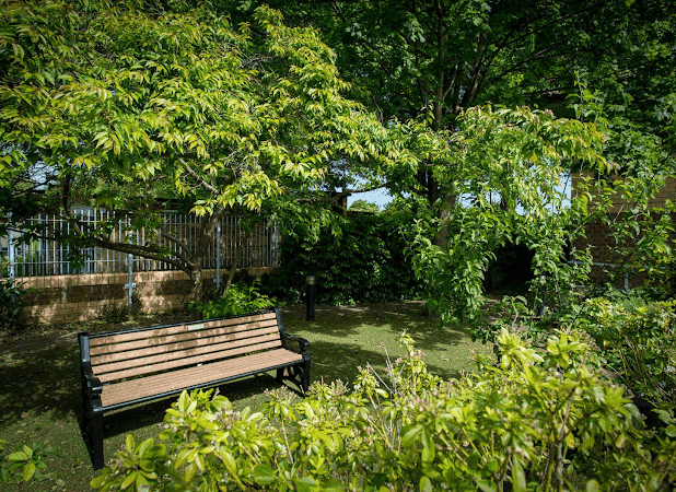 Garden of Parkview House in London, Greater London