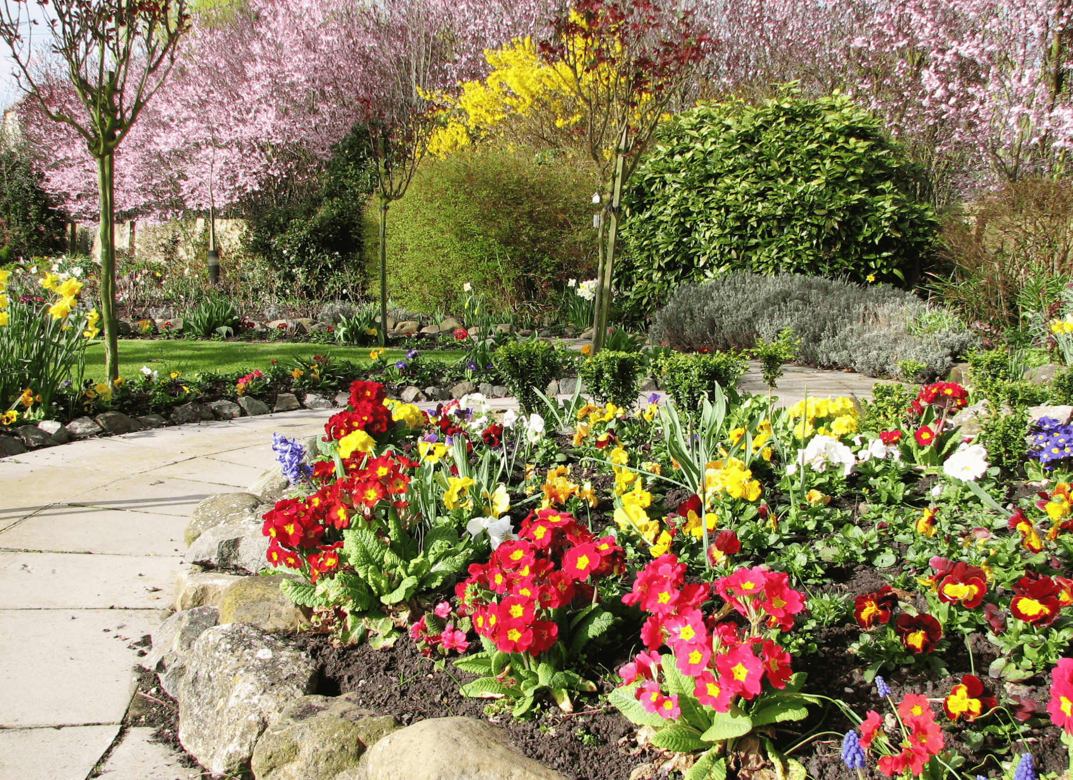 Garden of Rose Cottage in Huntingdon, Cambridgeshire