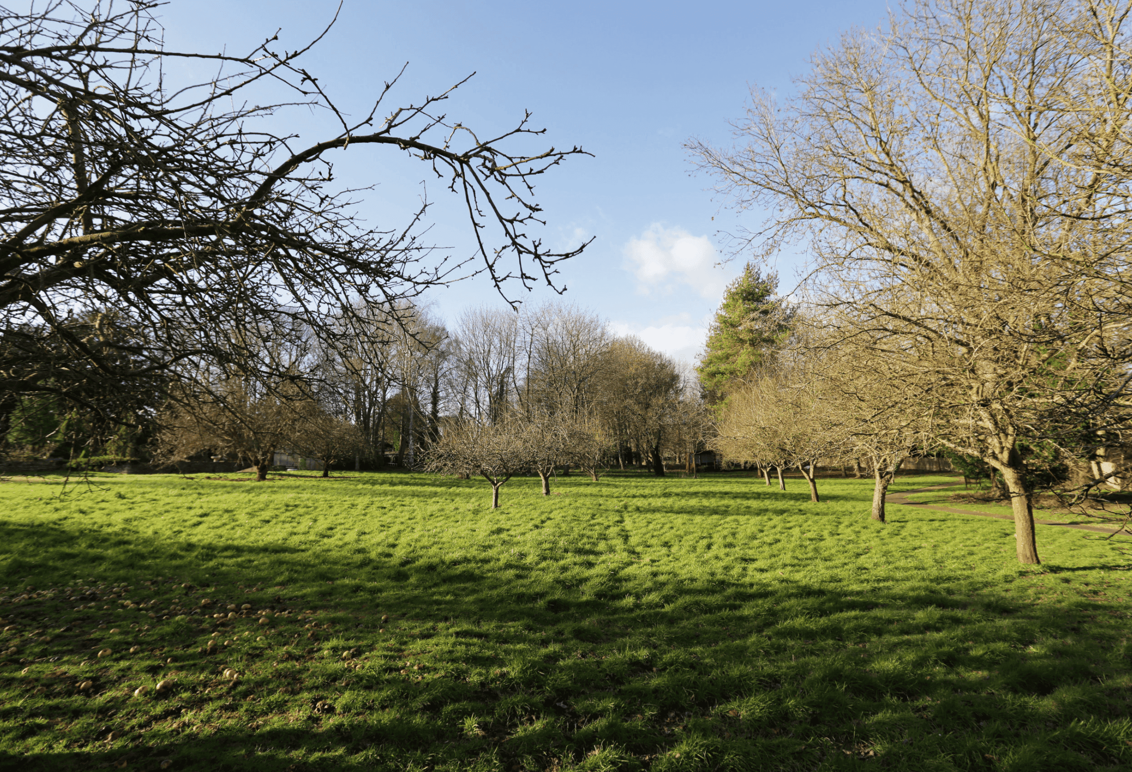 Garden of Sharnbrook House in Bedford, Bedfordshire