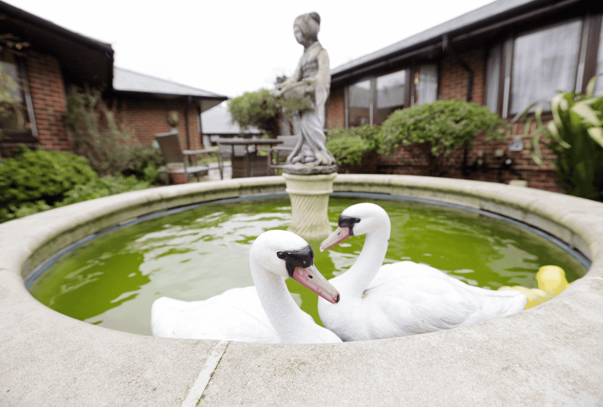 Garden of Speirs House in New Malden, London