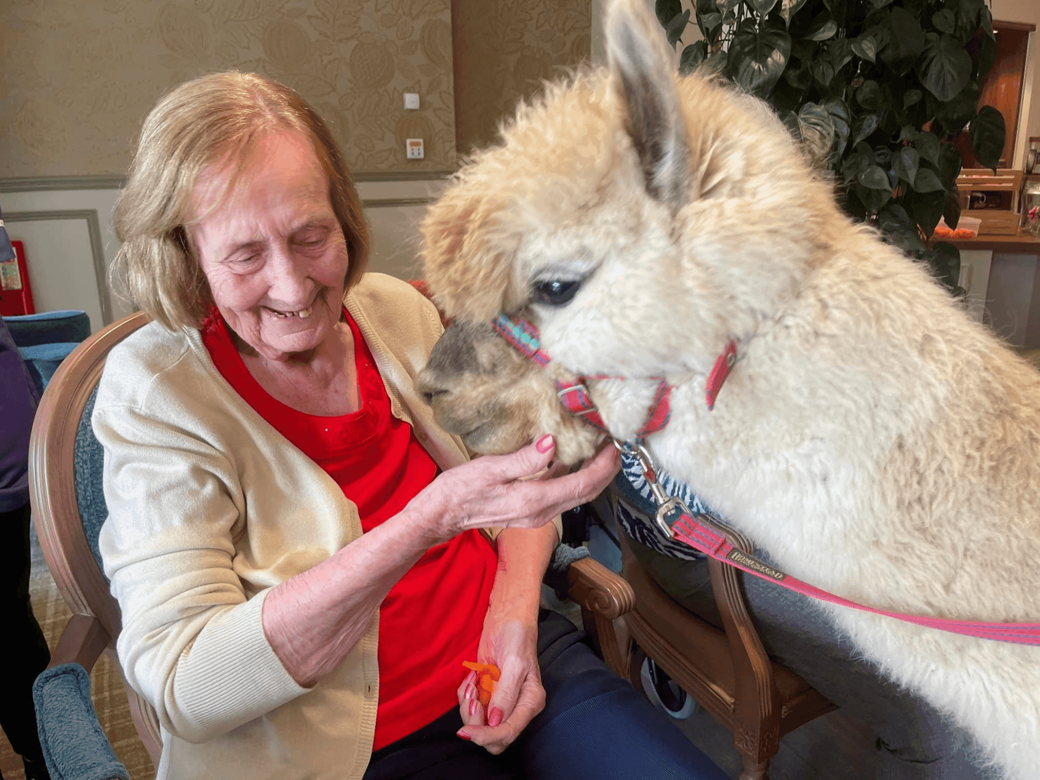 Greensleeves Care - Buckler's Lodge care home 009