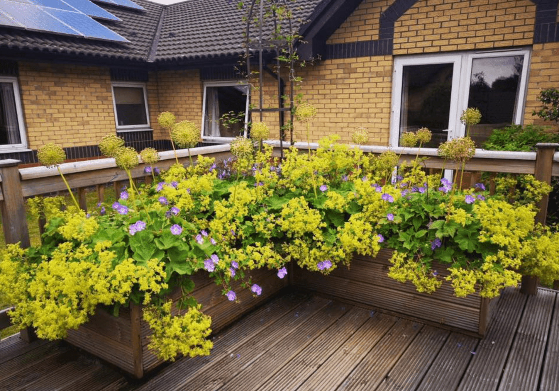 Terrace of Golfhill Care Home in Glasgow, Scotland