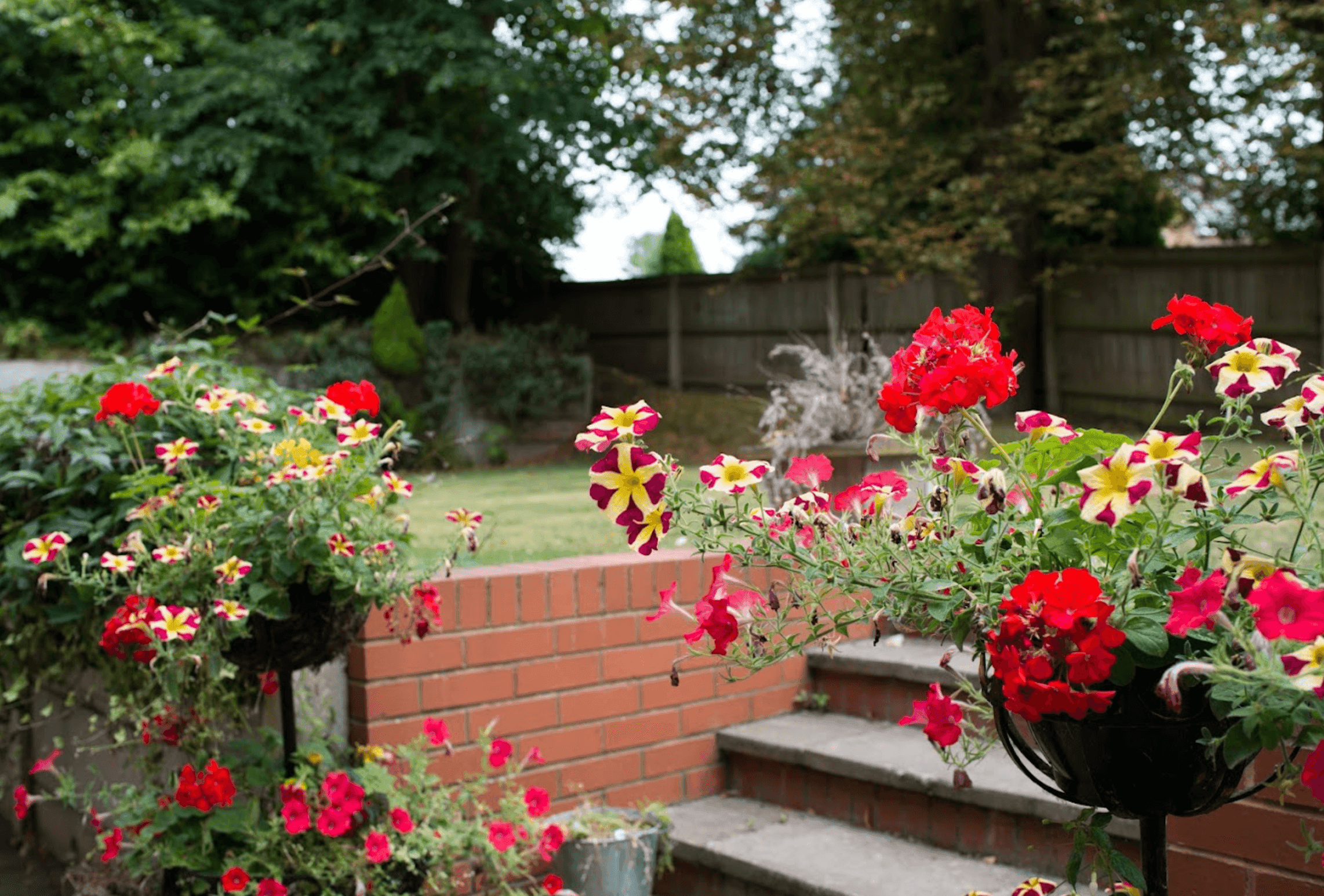 Garden of Arbour Lodge in Compton, Wolverhampton