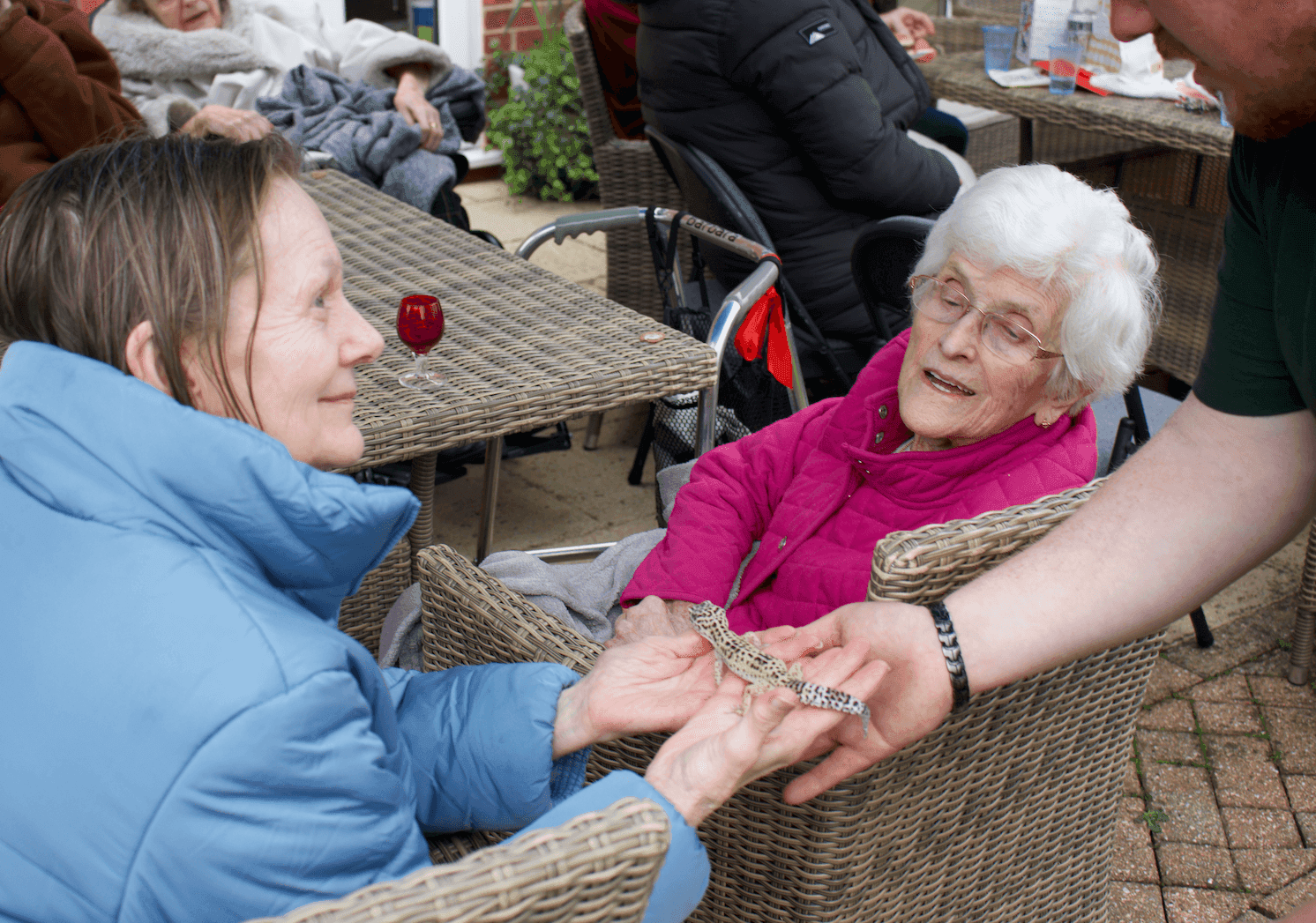 Independent Care Home - Cleeve Lodge care home - 009