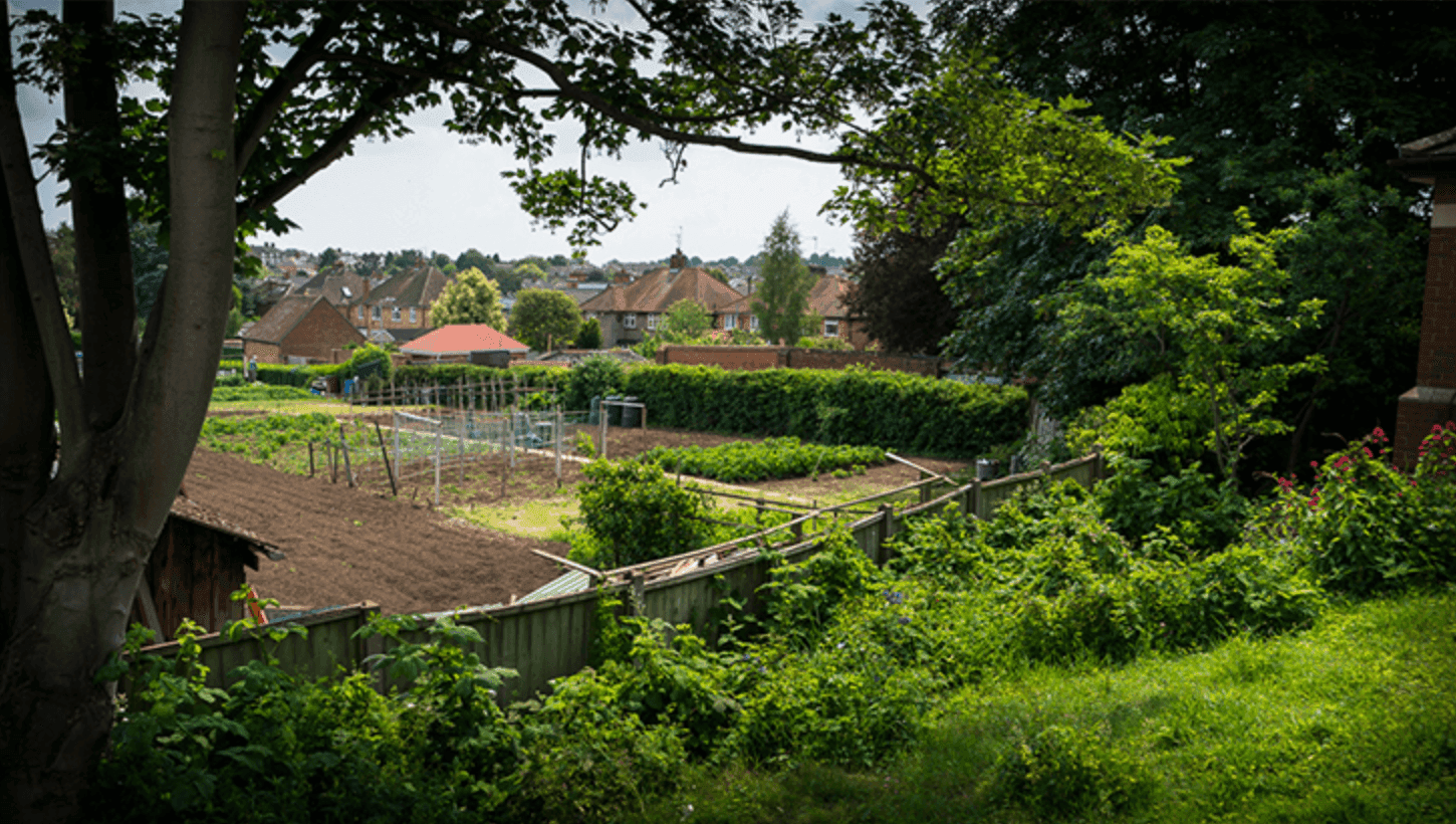 HC-One - Cedar Court care home - 003