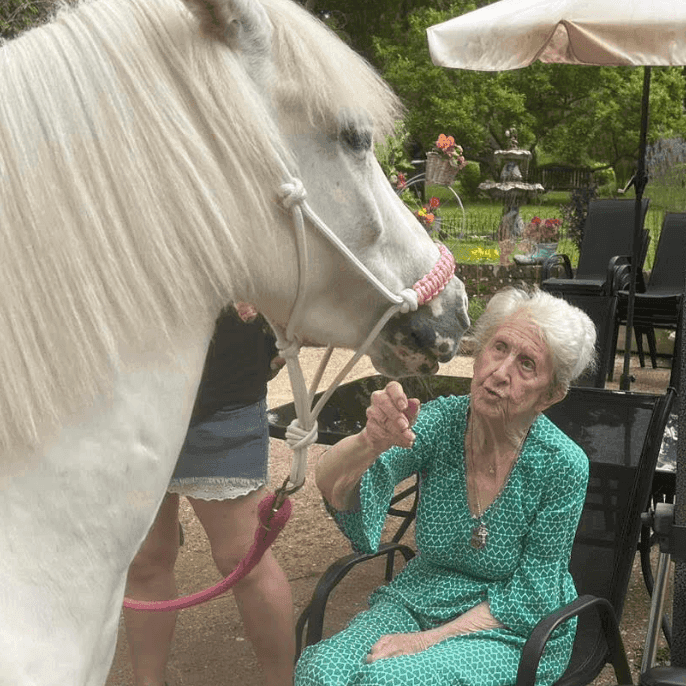 Ashview Care Home, Ware, SG12 8RQ
