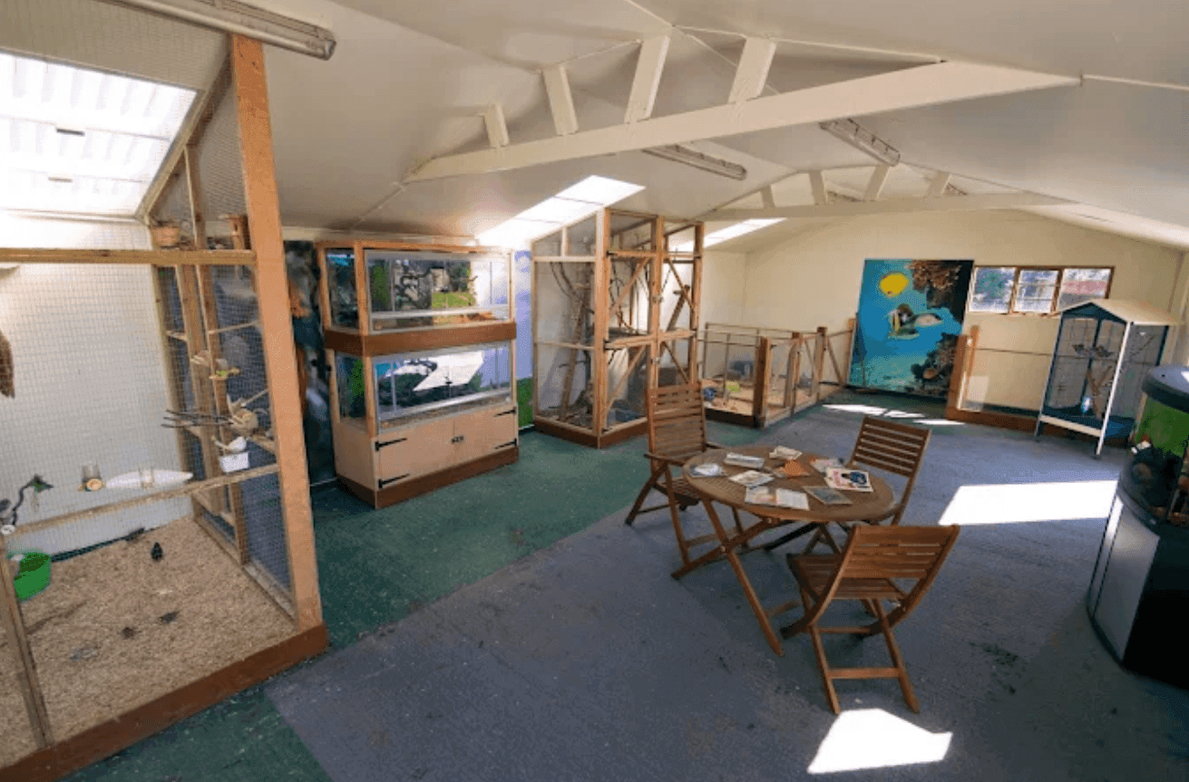 Independent Care Home - Immacolata House care home - 004