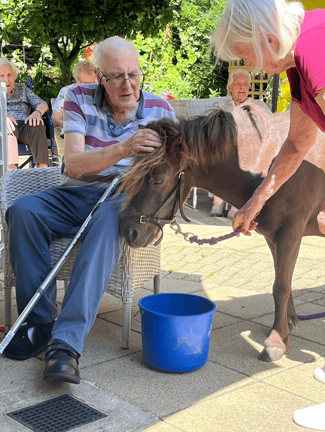 Luxury Care - Kingsman House care home - 010