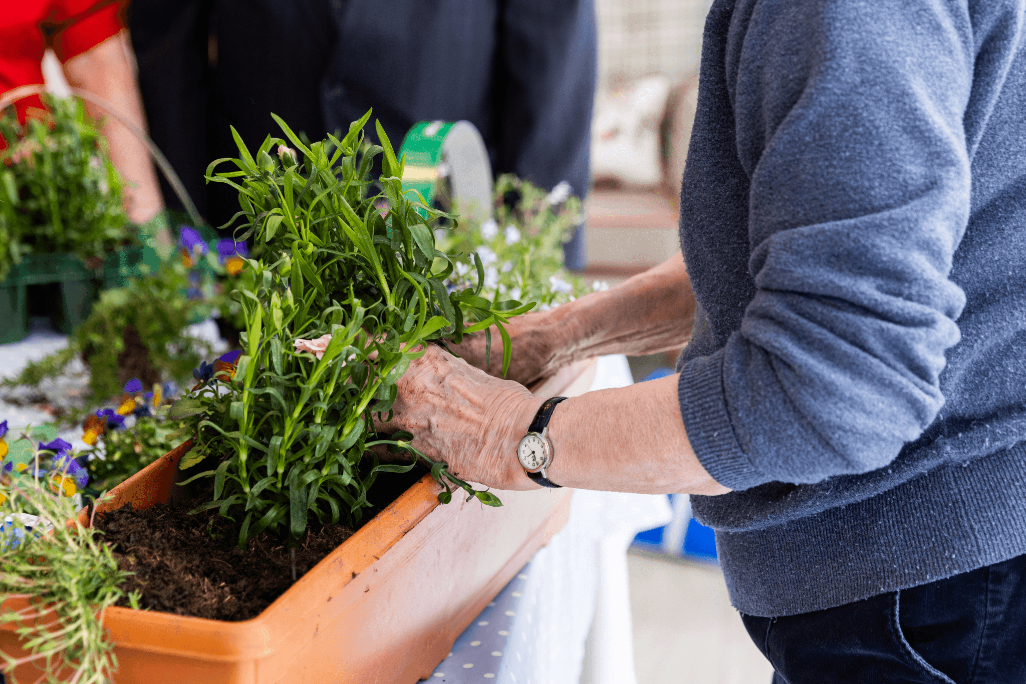 Country Court - Shenstone Court care home 025