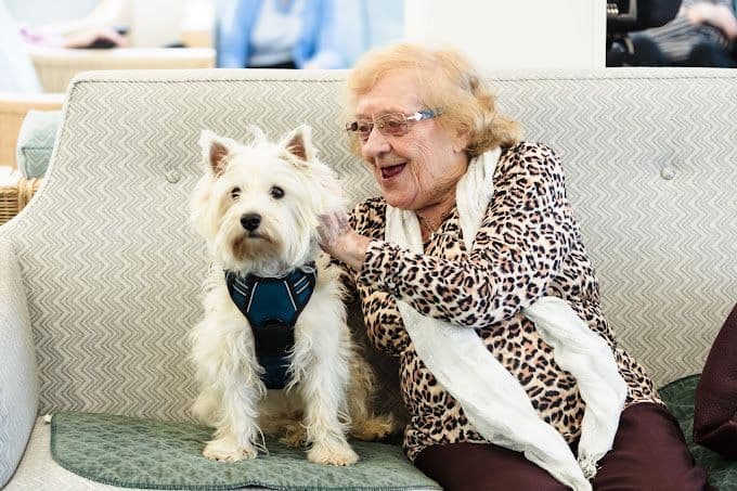 Springview Care Home, Enfield, EN2 7BL