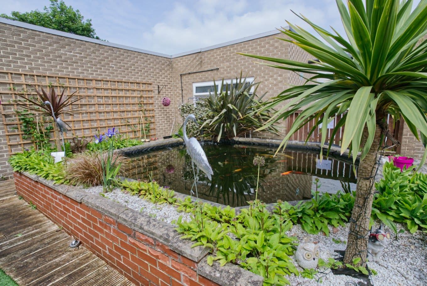 Ascot Care - Springfield Lodge  care home - 008