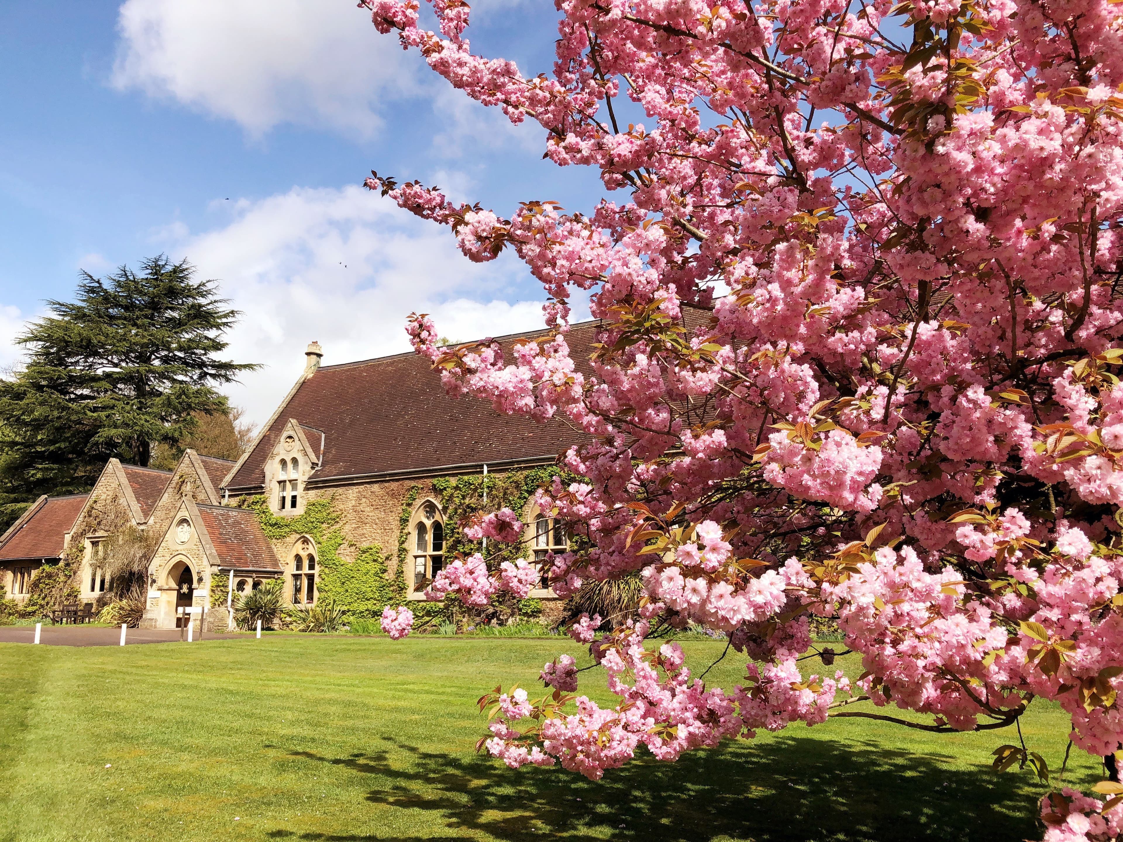 Ascot Residential Homes - St David's care home - 005