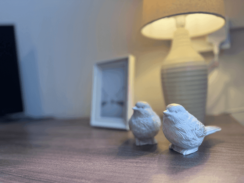 Autograph Care - Stoneswood care home - 022