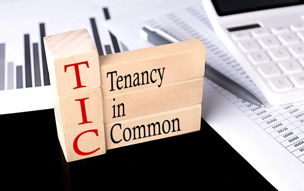 Tenancy in common