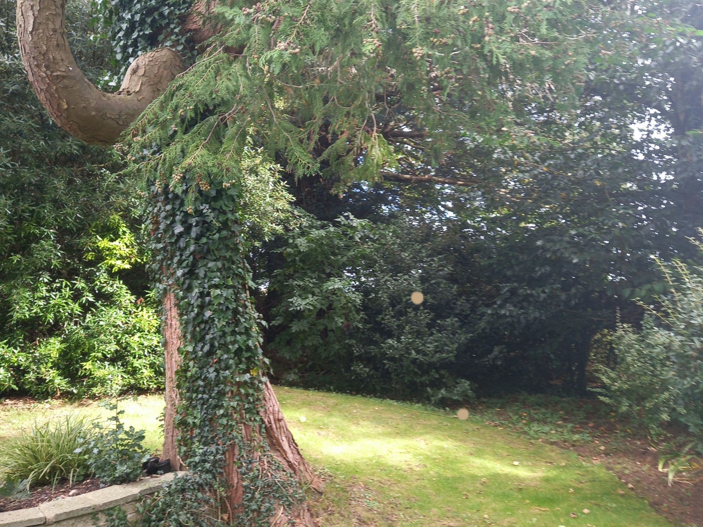 Independent Care Home - The Old Vicarage care home - 007