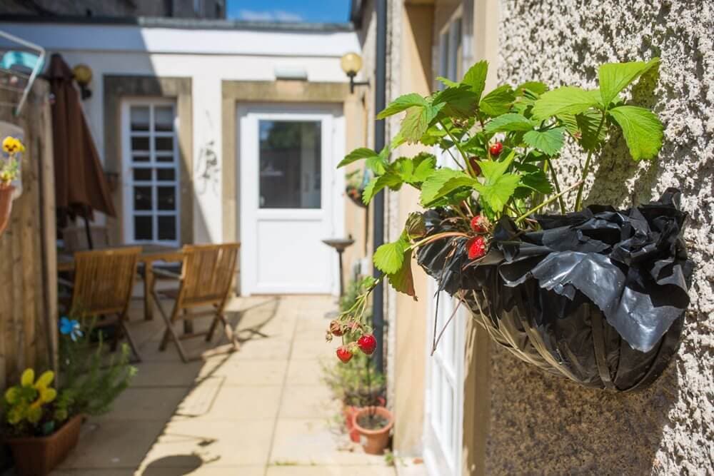 Garden area of The Terrace care home in Richmond, London