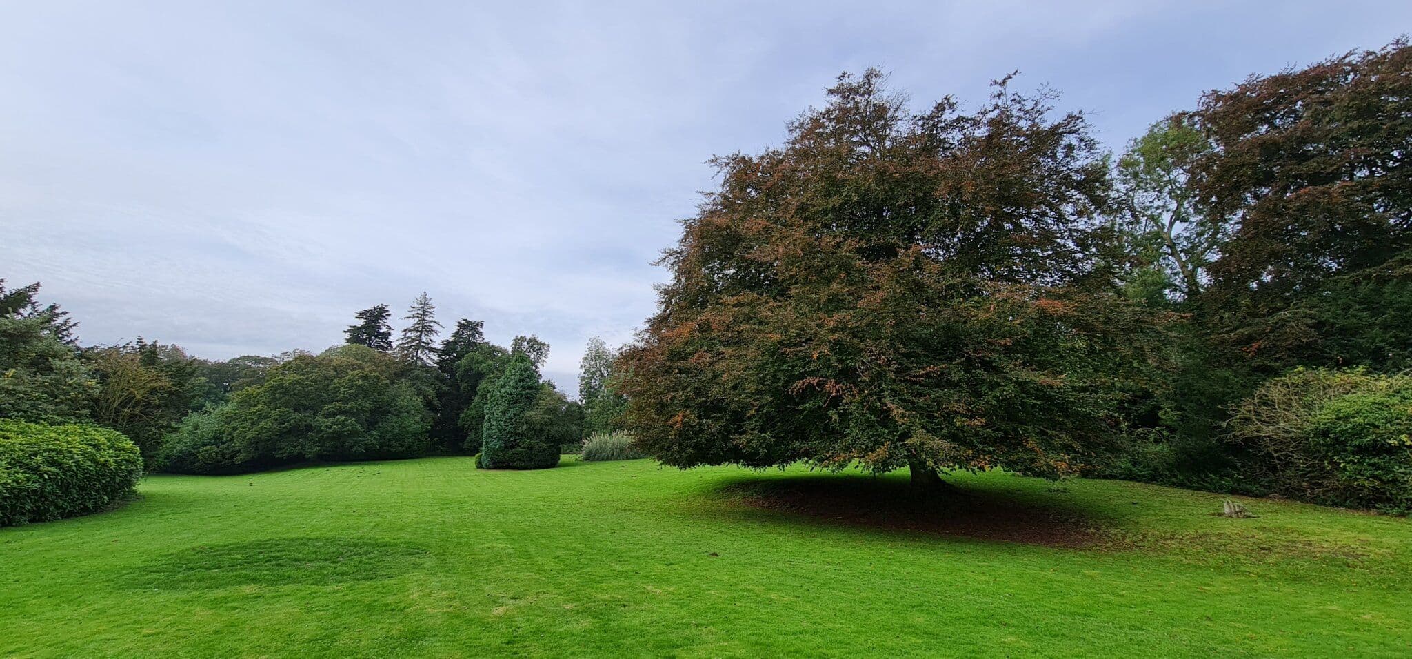Highgate Care - Oaktree Hall & Lodge care home - 013