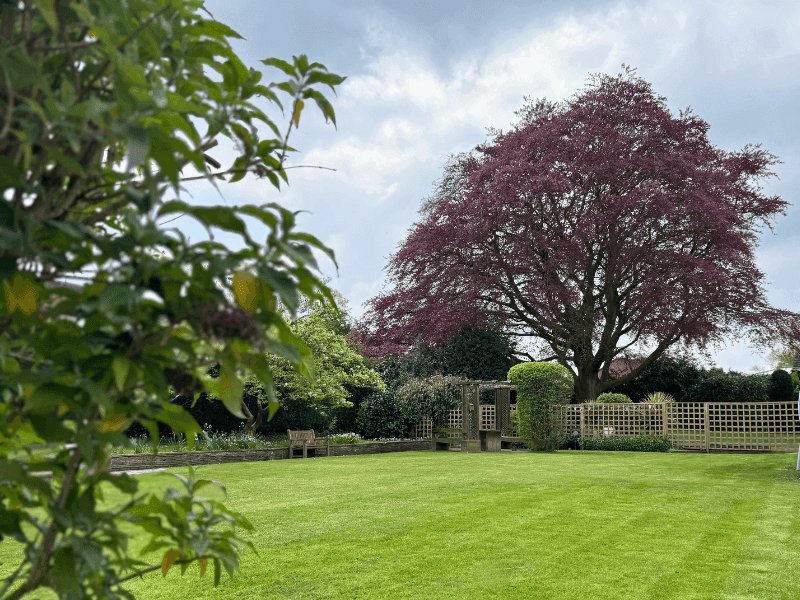 Autograph Care - Walton Manor care home 009