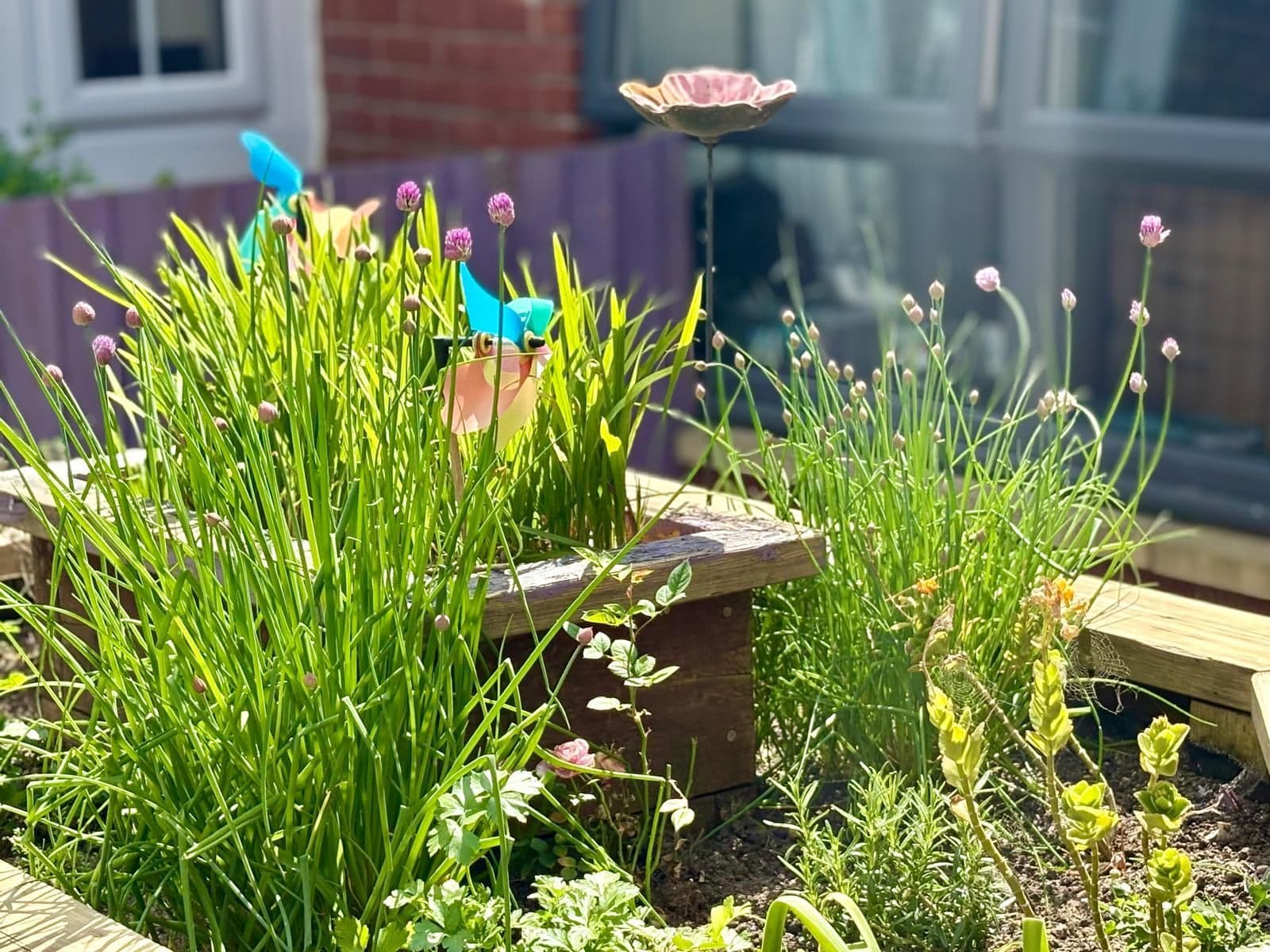 Carecall Services - Roman Wharf care home - 012