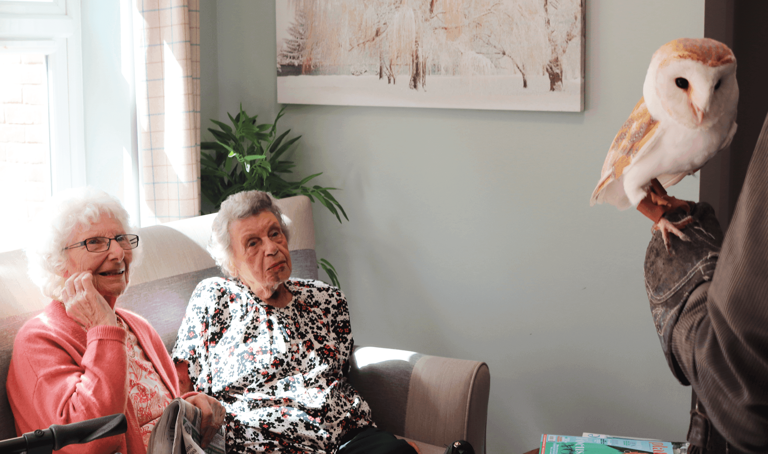 Forest Care - Rowan Lodge care home - 013