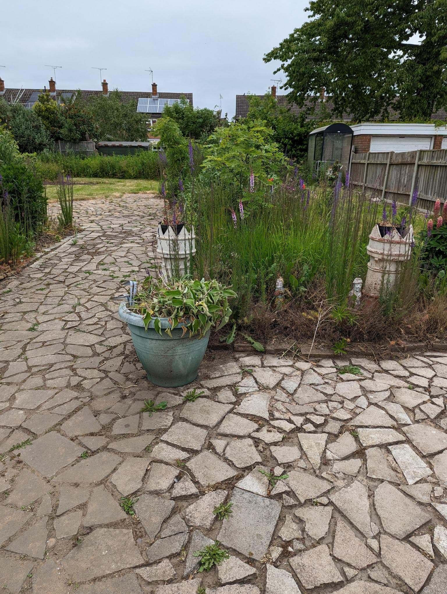 Garden at Woodmarket Care Home in Lutterworth, Leicester