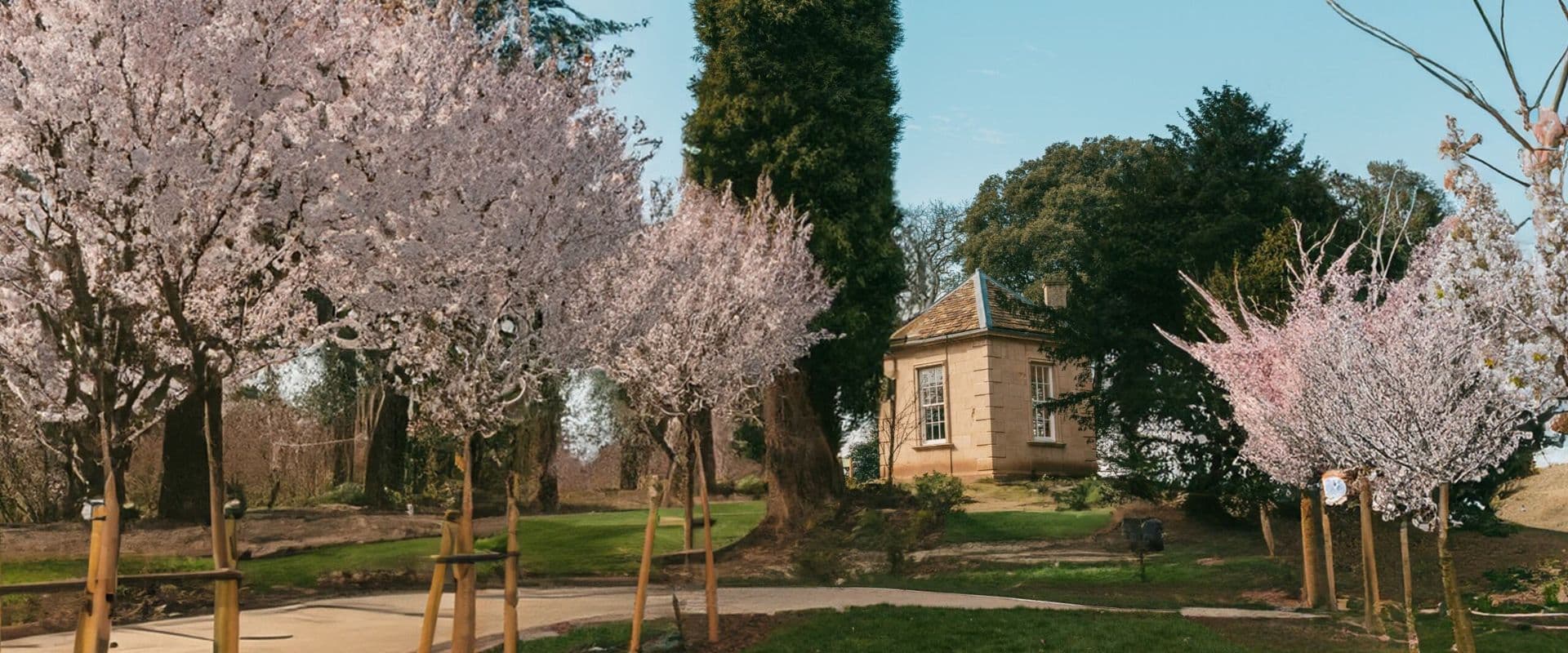 Cedar Care Homes - Arlington Grove care home 3