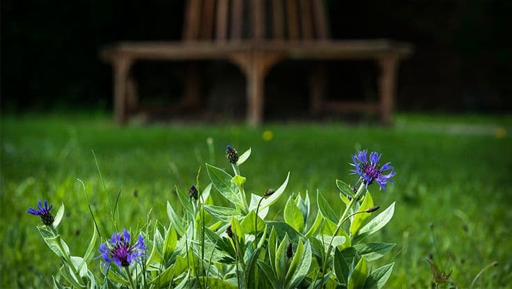 The Daffodils Care Home, Georgetown, CF48 1AY
