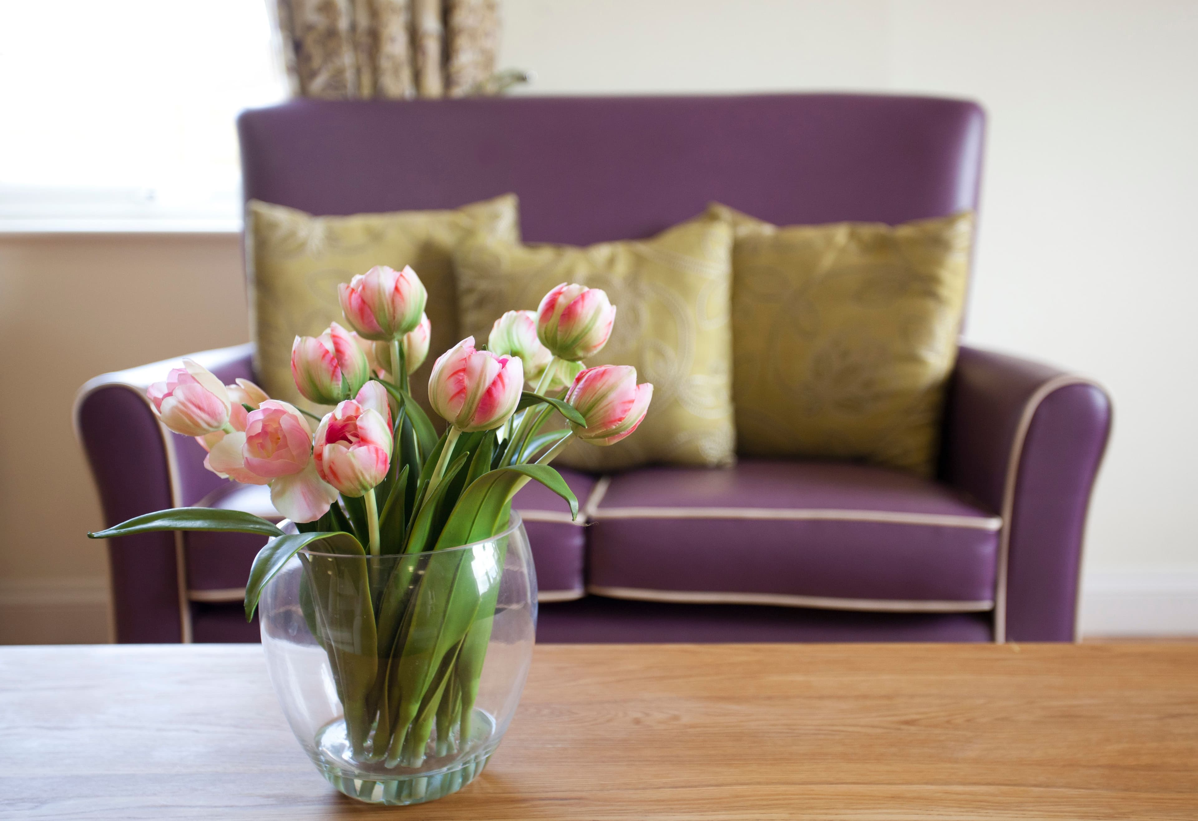 Cedar Care Homes - The Orangery care home 3
