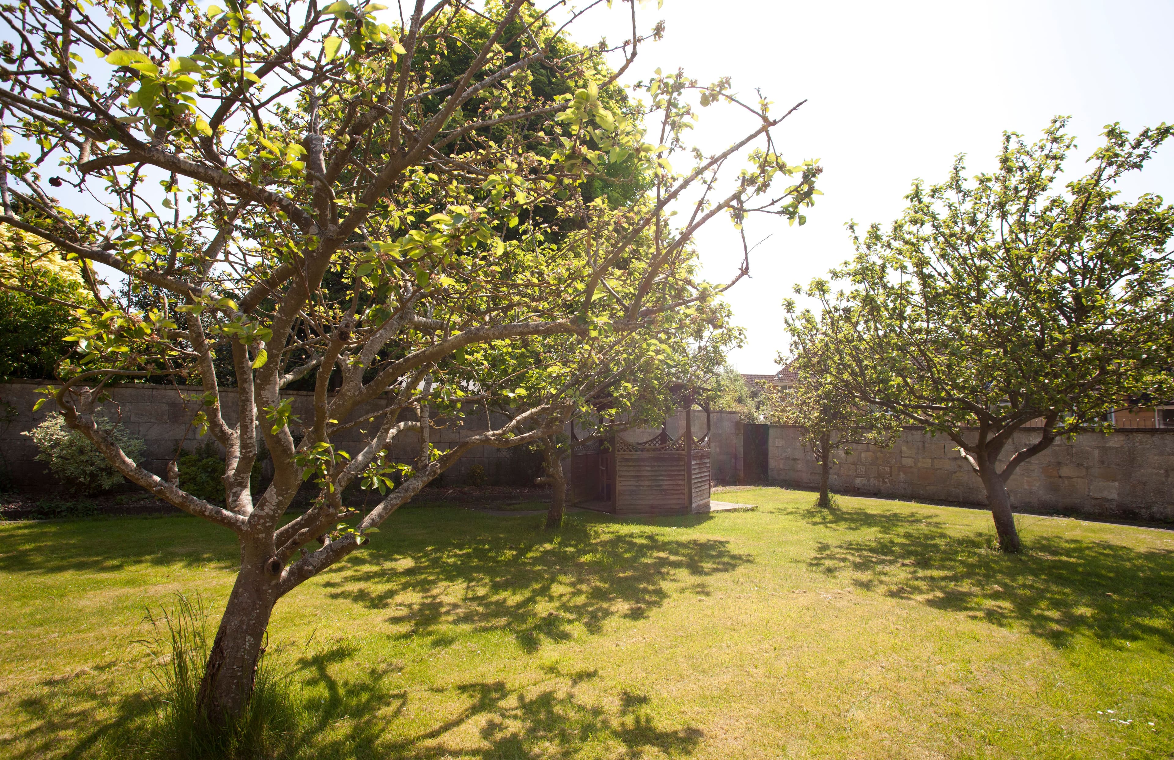 Cedar Care Homes - Cedar Park care home - 010