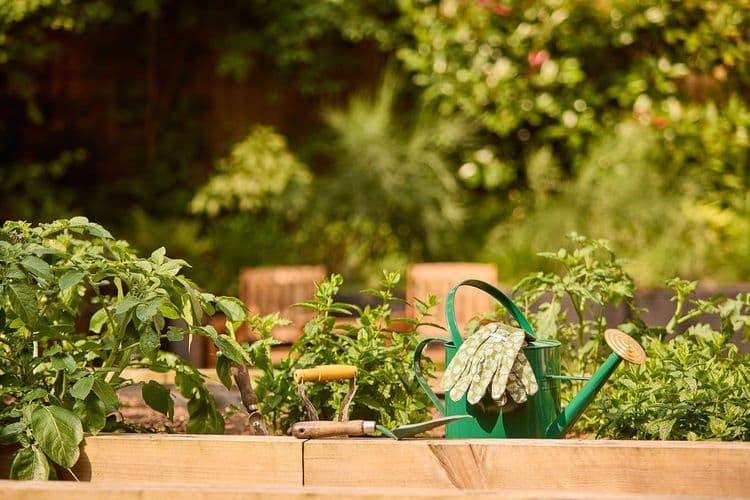 Hallmark Alexandra Grange Care Home, Wokingham, RG41 2SA