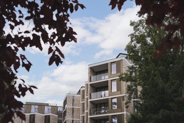 The Oren Care Home