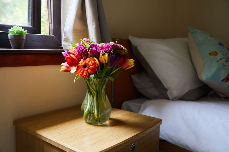 Newark Care Home, Glasgow, PA14 6PS