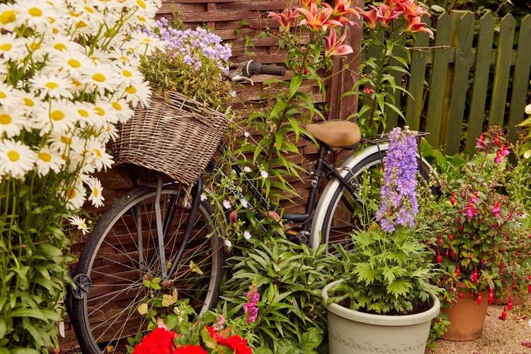 Hallmark Arlington Manor Care Home, Cambridge, CB3 0FW