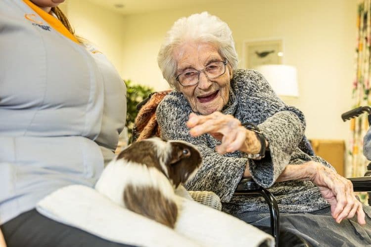 Bourne View Care Home, Poole, BH12 5BN