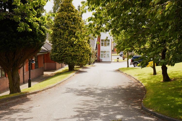 Image of White Ash Brook